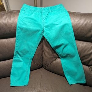 Women's Pants Green Size 4 the Loft